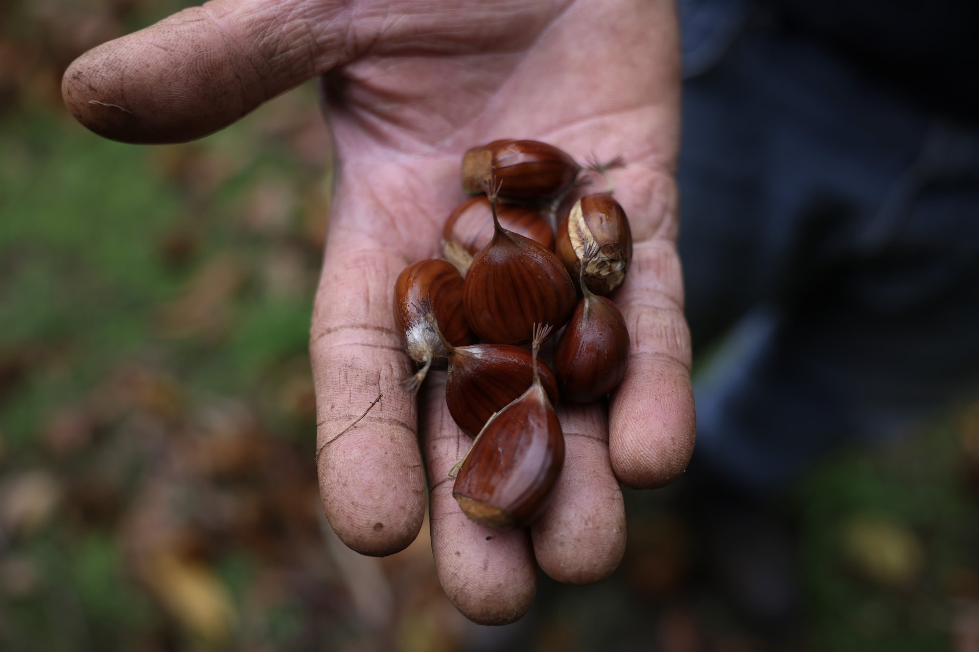 theres-nothing-to-pick2