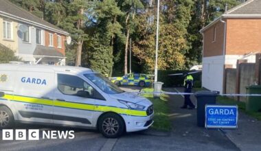 Man in his 20s dies following Tyrrelstown incident