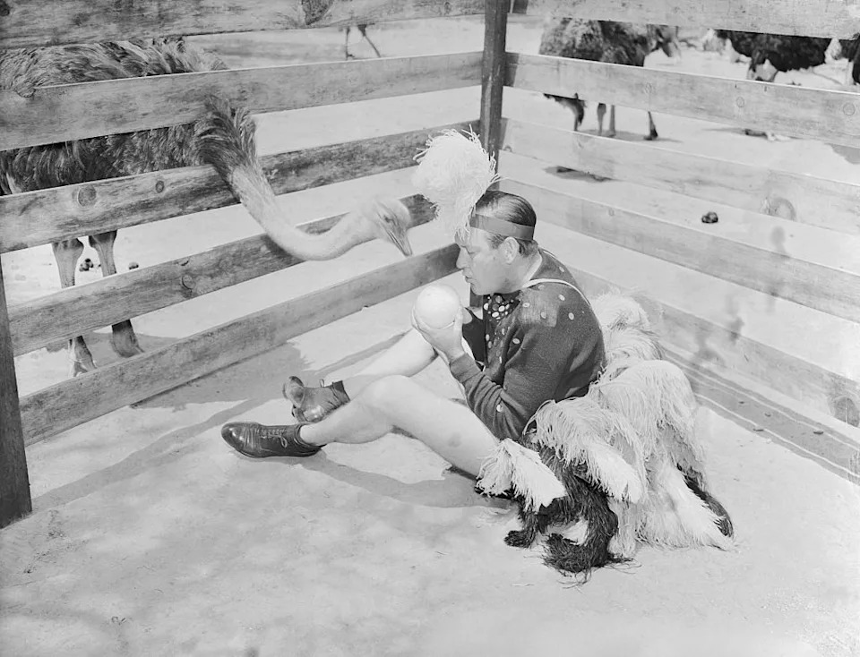 Moran in "hatching pants" holding egg and sitting in pen with an ostrich peering over the fence