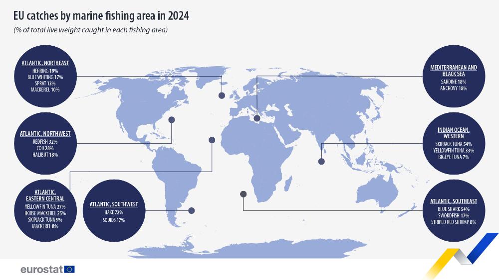 EU catches by marine fishing area in 2024 (% of total live weight caught in each fishing area). Chart. See links to the full datasets below.