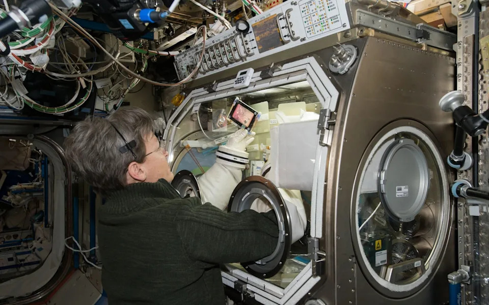 Space could recreate the wear and tear of decades of life in a matter of days