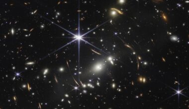 How dark stars could illuminate the early universe