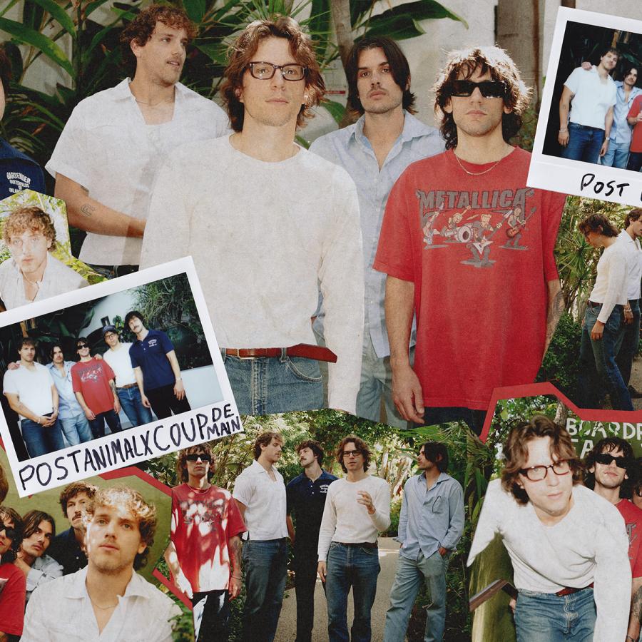 Interview: Post Animal on their new album 'Iron'.