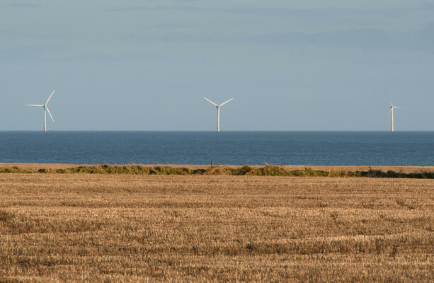 Does Ireland produce less energy from wind now than it did 20 years ago?