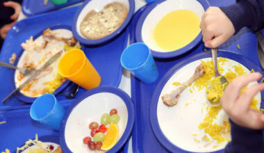 Rats reported in kitchens where hot school meals are prepared for kids among October food closures - The Journal