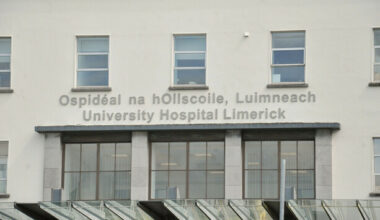 HIQA CEO says a new hospital for the Mid-west would cost billions and take 10 years - The Journal