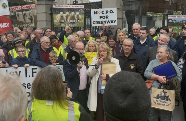 Independent Ireland leader claims 'sh*t frightened out of' TII during committee appearance