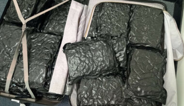 Man arrested after gardaí seize €600,000 worth of cannabis in luggage at Shannon Airport - The Journal