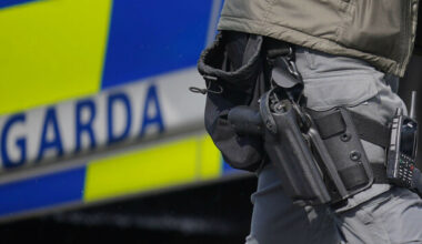 Sinn Féin expels party member after arrest of her partner in far-right terror probe - The Journal