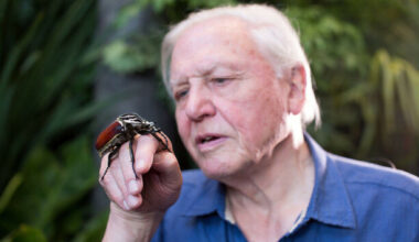 How much do you know about the BBC? · TheJournal.ie