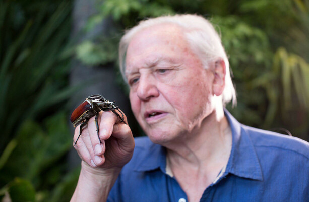 How much do you know about the BBC? · TheJournal.ie