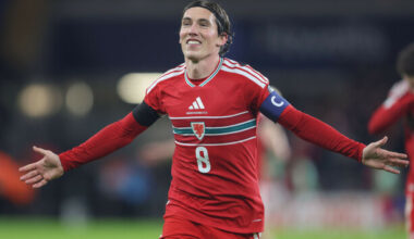 Wales win consigns Ireland to Pot 3 in World Cup playoffs · The 42