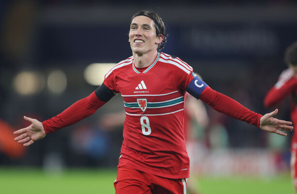 Wales win consigns Ireland to Pot 3 in World Cup playoffs · The 42