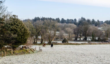 Status Yellow snow-ice warnings issued for Northern counties as widespread frost to hit tonight