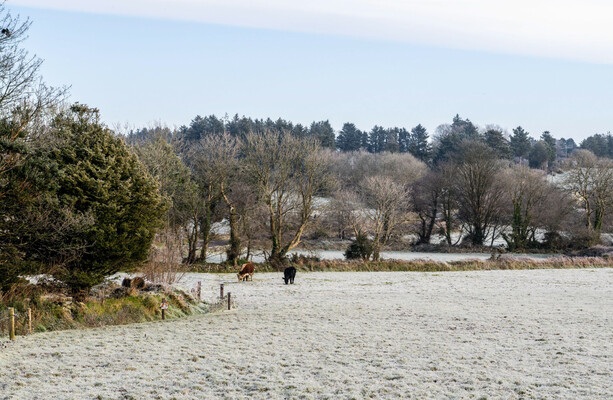 Status Yellow snow-ice warnings issued for Northern counties as widespread frost to hit tonight
