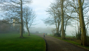 Status Yellow fog warning covering 11 counties this morning