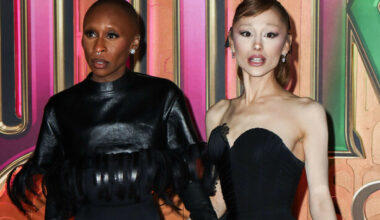 Singapore deports Australian man who charged at Ariana Grande during Wicked premier - The Journal