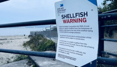 UK watchdog to investigate over raw sewage pouring into Belfast Lough 'every time it rains'' - The Journal