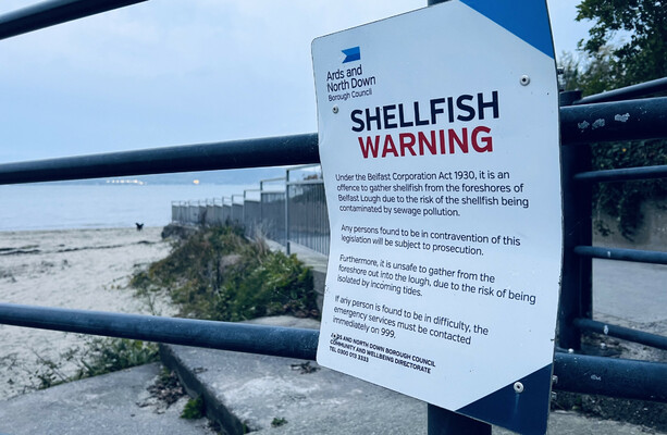 UK watchdog to investigate over raw sewage pouring into Belfast Lough 'every time it rains'' - The Journal