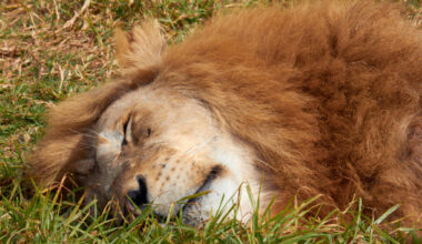 Struggle with sleeping? Here are seven tips to help you nod off