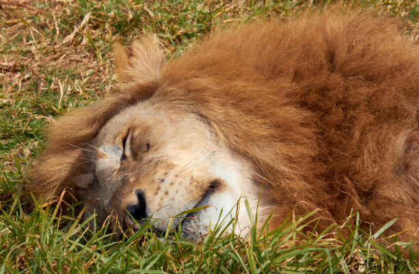 Struggle with sleeping? Here are seven tips to help you nod off