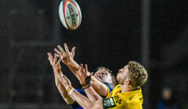 18 penalties and three yellow cards but Leinster secure winning bonus-point at the death