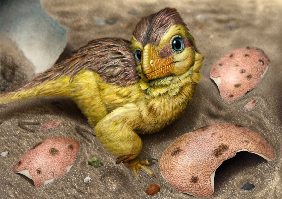 An artist’s reconstruction of a newly-hatched troodontid-like dinosaur among fragments of its eggshell. Image credit: Eva Utsukiyouhei.