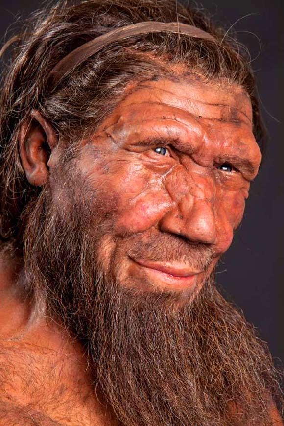 Neanderthal. Image credit: Trustees of the Natural History Museum, London.