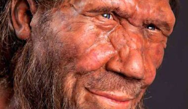 Researchers Using Neanderthal DNA to Learn More About How Human Faces Develop and Evolve