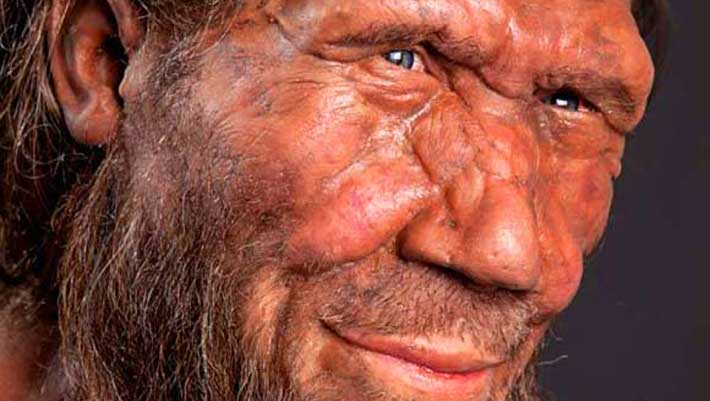 Researchers Using Neanderthal DNA to Learn More About How Human Faces Develop and Evolve