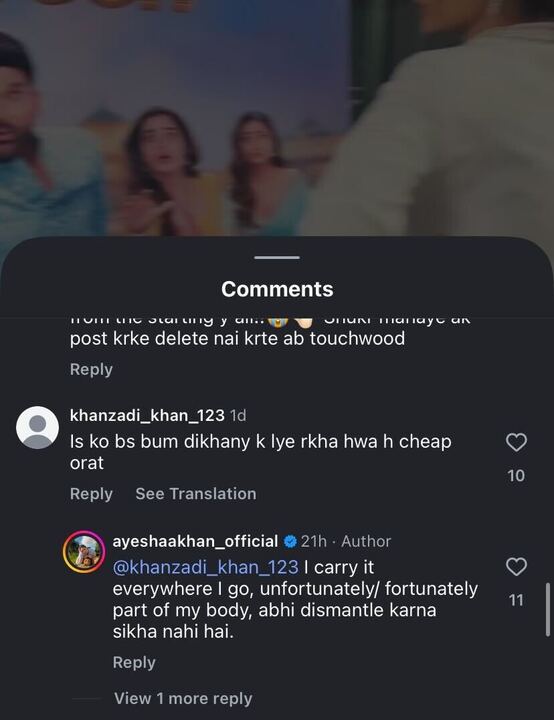 Ayesha Khan hits back troll for making a vulgar comment.