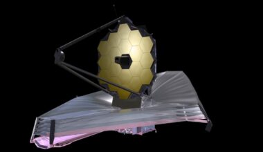 Everybody Wants a Piece of Webb