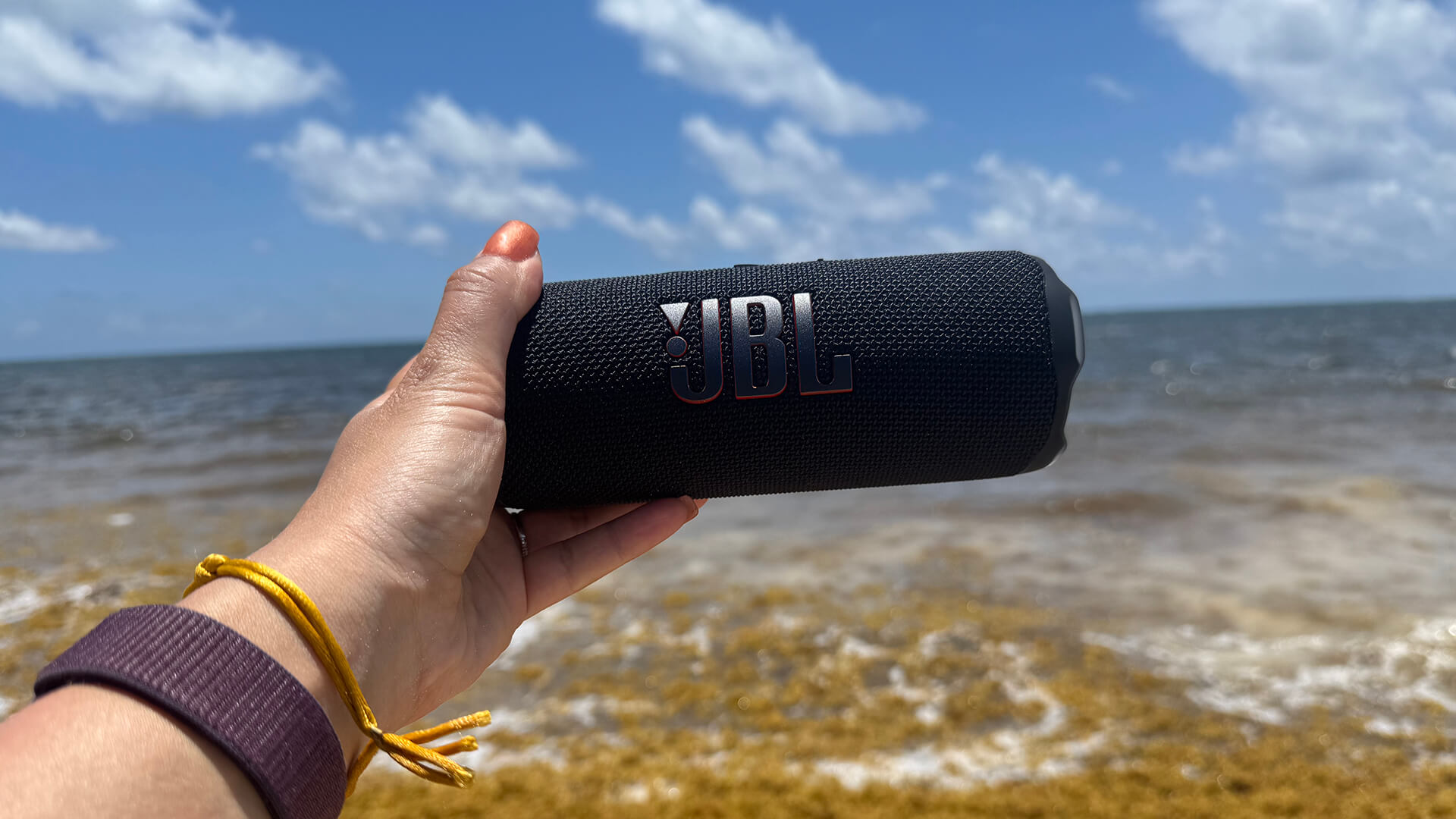 JBL Flip 7