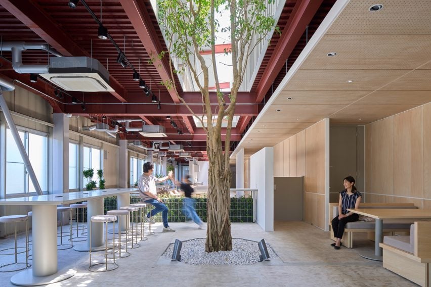 First floor office space with tree in centre