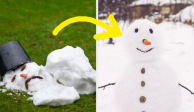 Tell Us Your Tips And Tricks For Beating The Winter Blues This Season - BuzzFeed