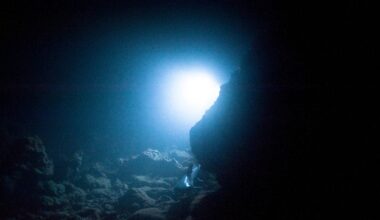 New Predator Emerges From the Deepest, Darkest Part of the Ocean