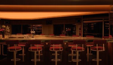 Limousine by Ivy Studio