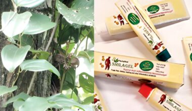 Bye bye to pain and swelling! Kerala University develops new plant-based medicine