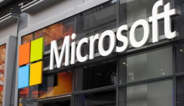 Microsoft AI Chief Outlines OpenAI-Less Roadmap