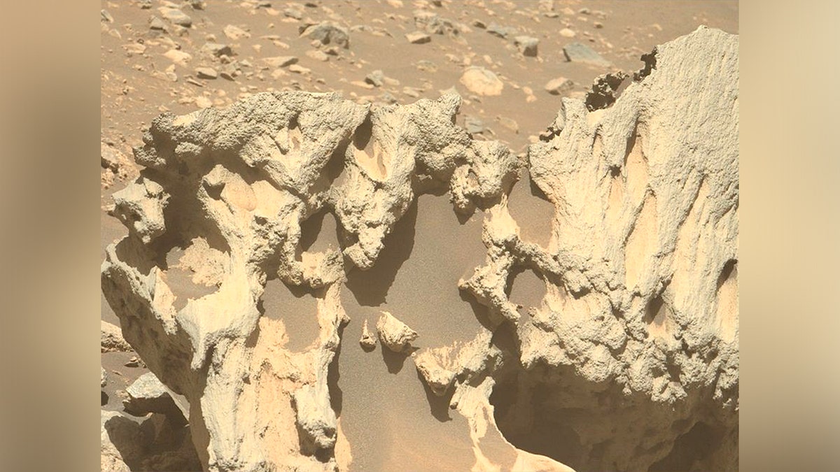 NASA Perseverance discovers possible meteorite on Mars