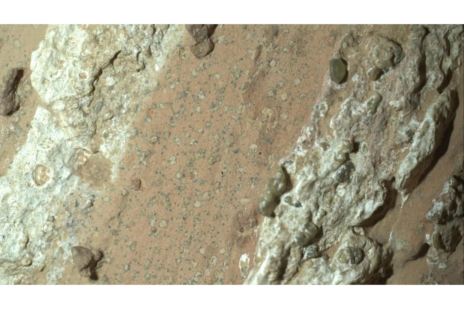 NASA discovers "clearest signs of life on Mars" ever found