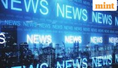 Private capex sluggish as cheap Chinese imports dent demands, says economist