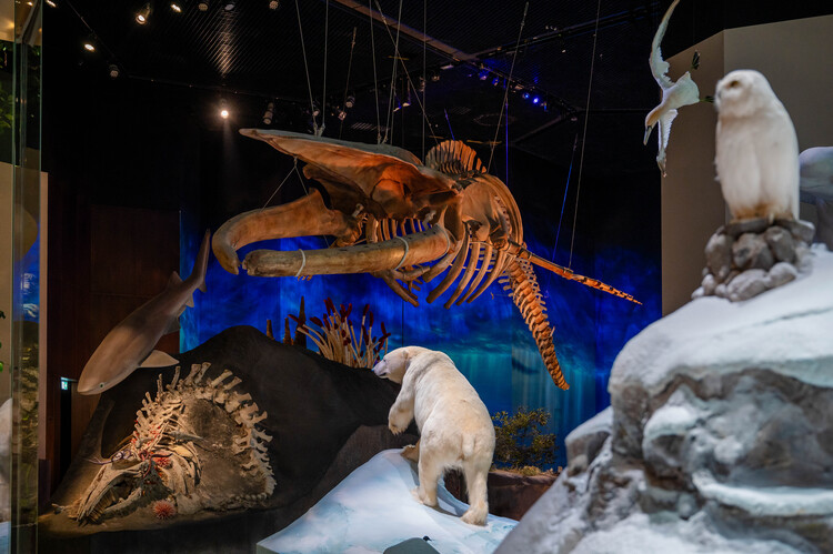 Mecanoo’s Natural History Museum Opens in Abu Dhabi’s Saadiyat Cultural District - Image 11 of 13