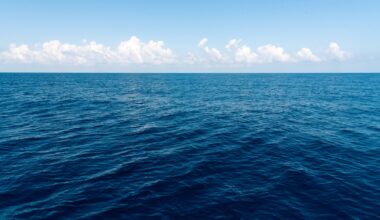 Ocean's carbon recycling could revolutionize the way we make products. Now, scientists have developed a method to make plastic out of CO2.