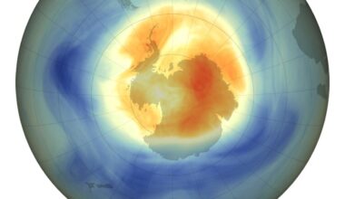 a pole down look at antarctica with a color gradient overlay corresponding to ozone density shows high concentrations over most of the southern ocean and low density over antarctica, that is interspersed with density levels that do not qualify as a "hole"