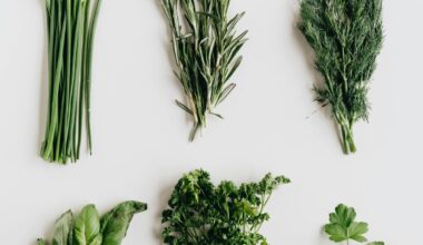 Polyphenols are the next big thing in nutrition — but what are they?