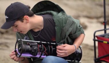 Photographer Builds Underwater Camera Trap to Reveal America’s Disappearing Salt Marshes