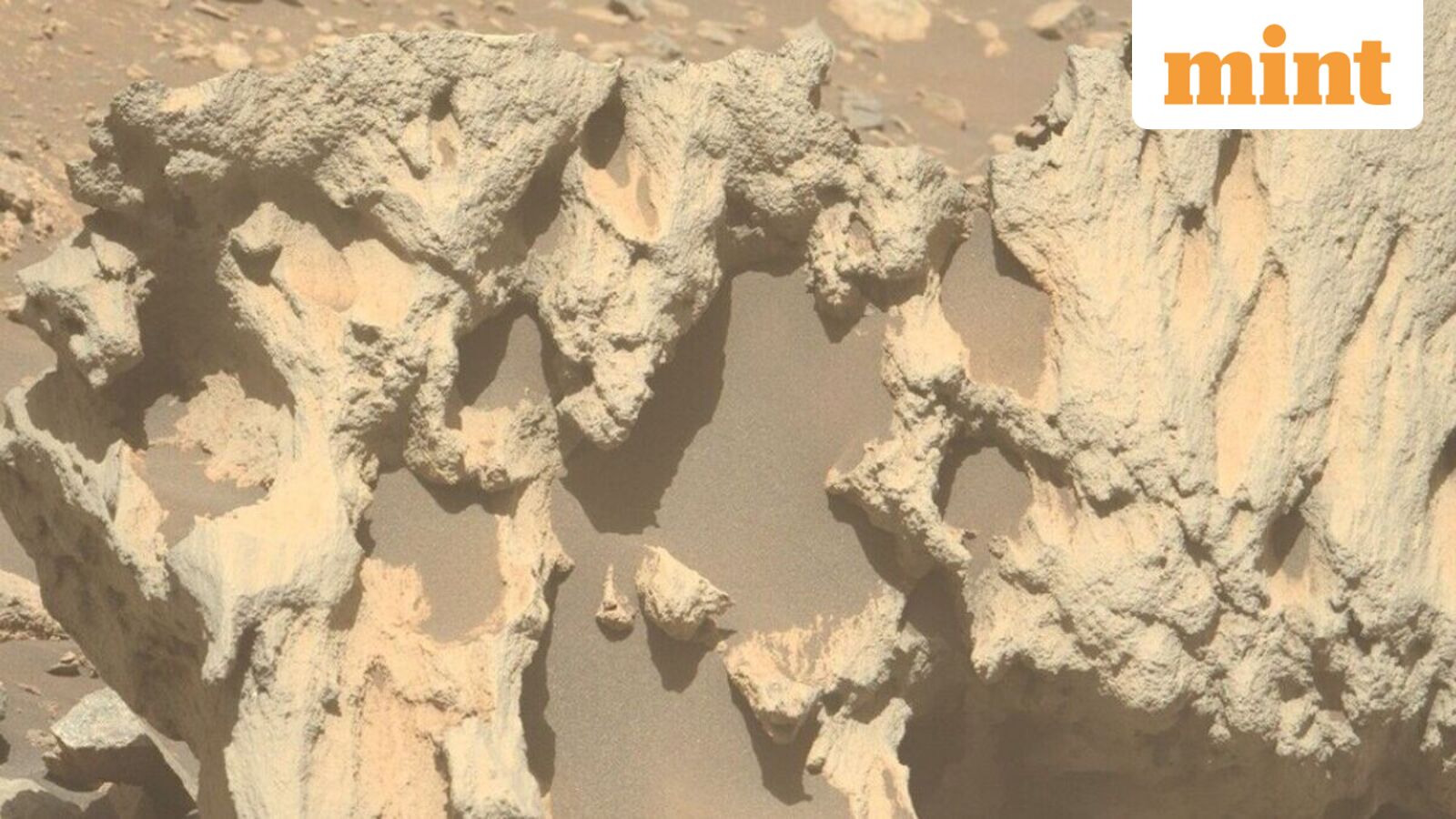 Perseverance's discovery highlights the rover’s ongoing mission to study Mars’ geology, search for signs of ancient life, and collect samples for future return missions. (Image: NSA website)