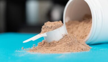 scoop filled with brown or chocolate flavored protein powder.