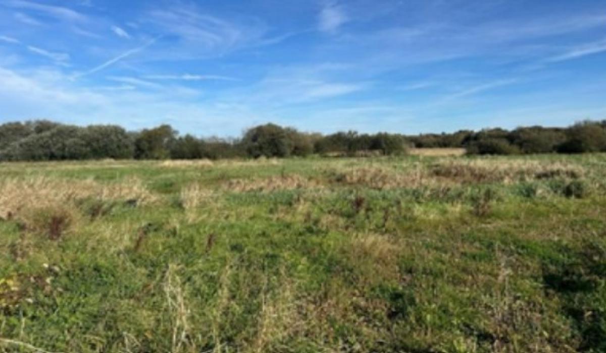 Floating Walkway planned for Offaly beauty spot